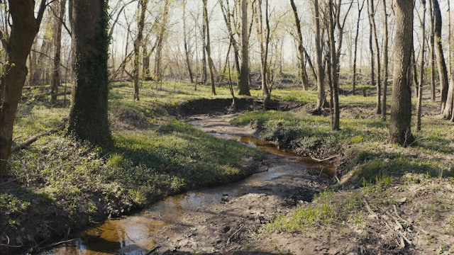 Spring Slow Moments: Blatchley Nature Preserve & Meltzer Woods