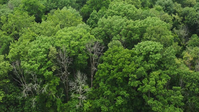 Our Wetlands: Working to Protect Us T...