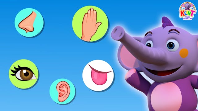 Kent The Elephant - Five Senses Puzzle