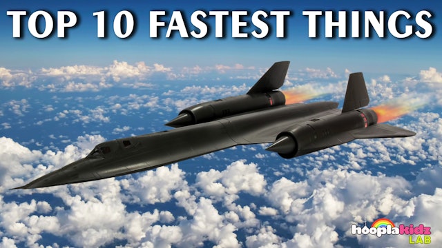 Top 10 Fastest Things