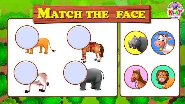 Match the face