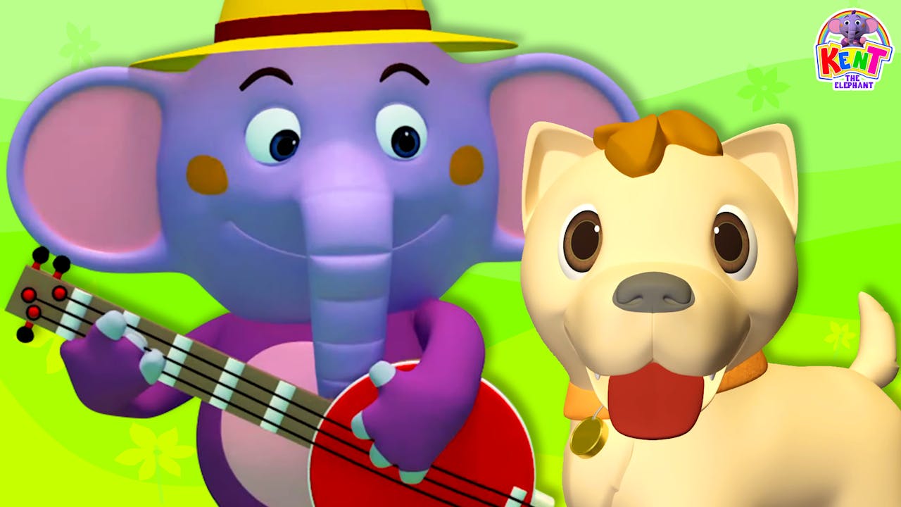 BINGO Dog Song - HooplaKidz Plus - Fun and Educational Videos