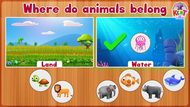 Where do animals belong