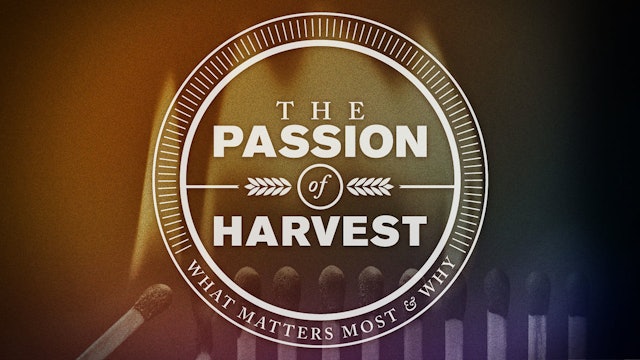 The Passion Of Harvest: The Four Pillars