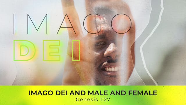 Imago Dei And Male And Female