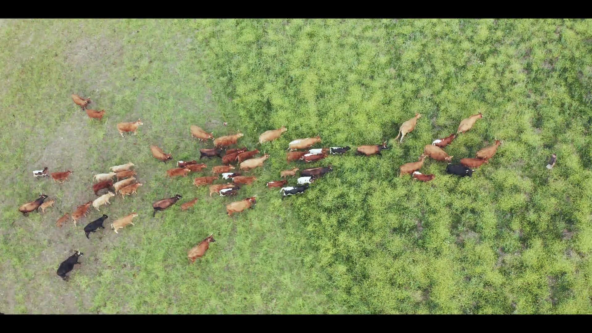 HOPE 04: The Power of the Invisible