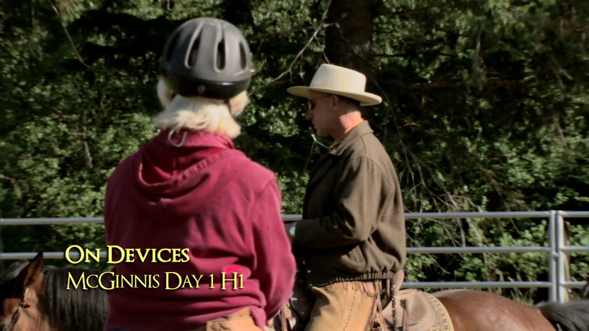 Groundwork 1 - Chapter 20 - Bridling/Haltering Tips - On Devices