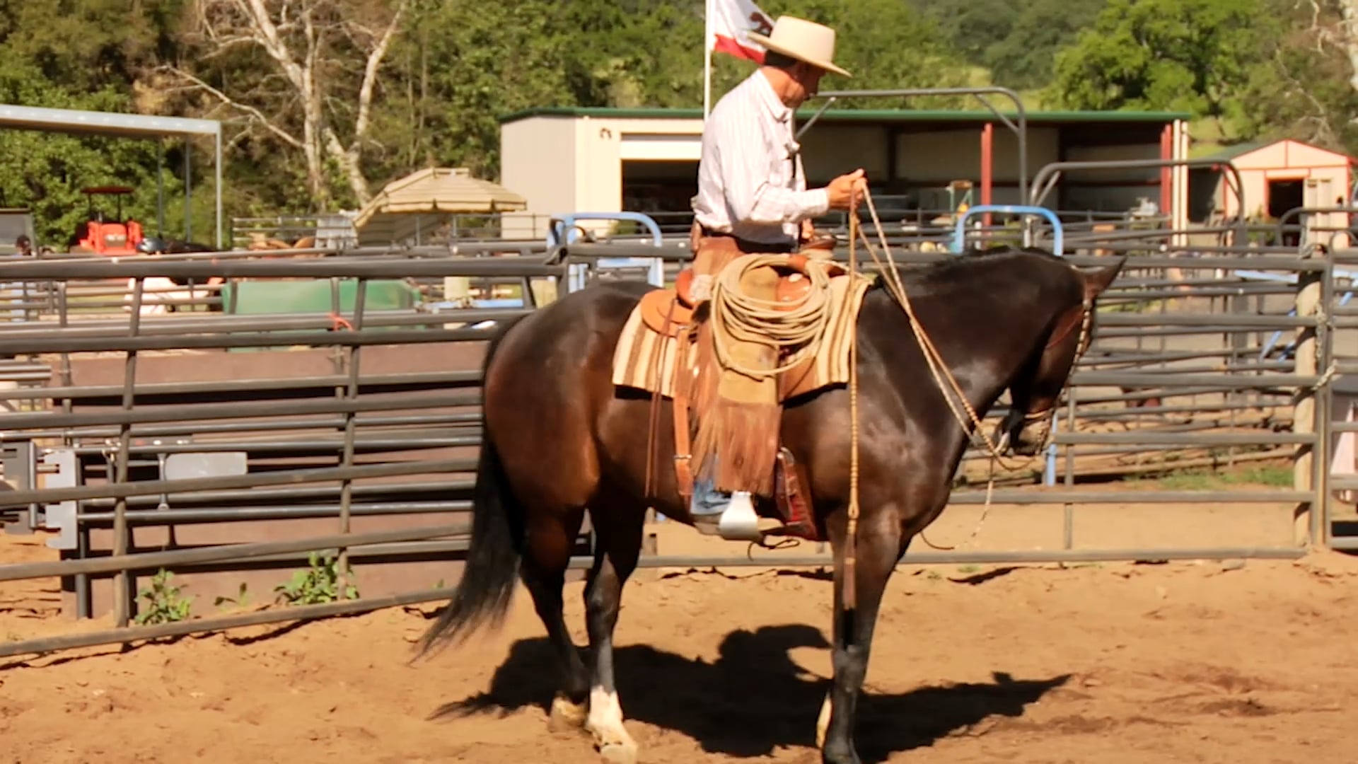 Groundwork 1 - Chapter 12 - Circles/Leading By - Betty Staley: On Untracking