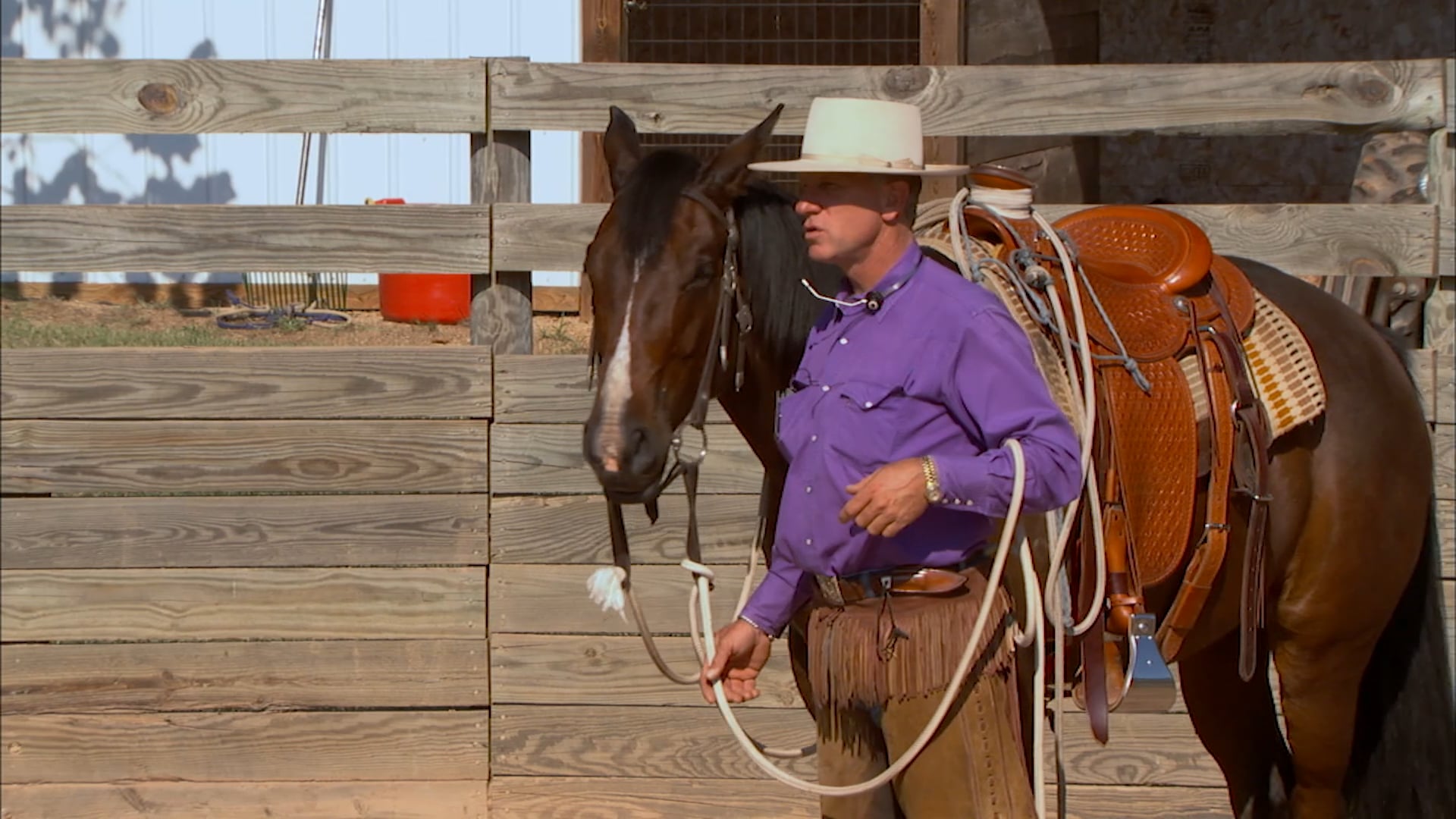 Groundwork 1 - Chapter 18 - Bridling/Haltering Tips - Nosebands and Bits