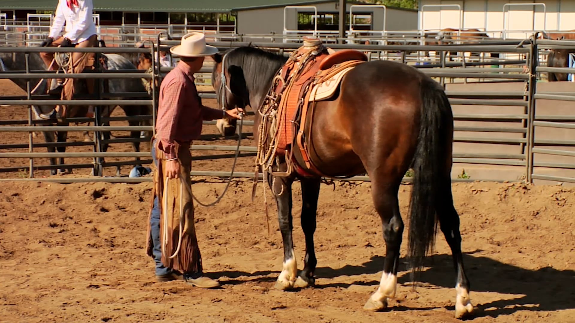 Groundwork 2 – Chapter 7 - Backing/Backing Circles - Proper Backing