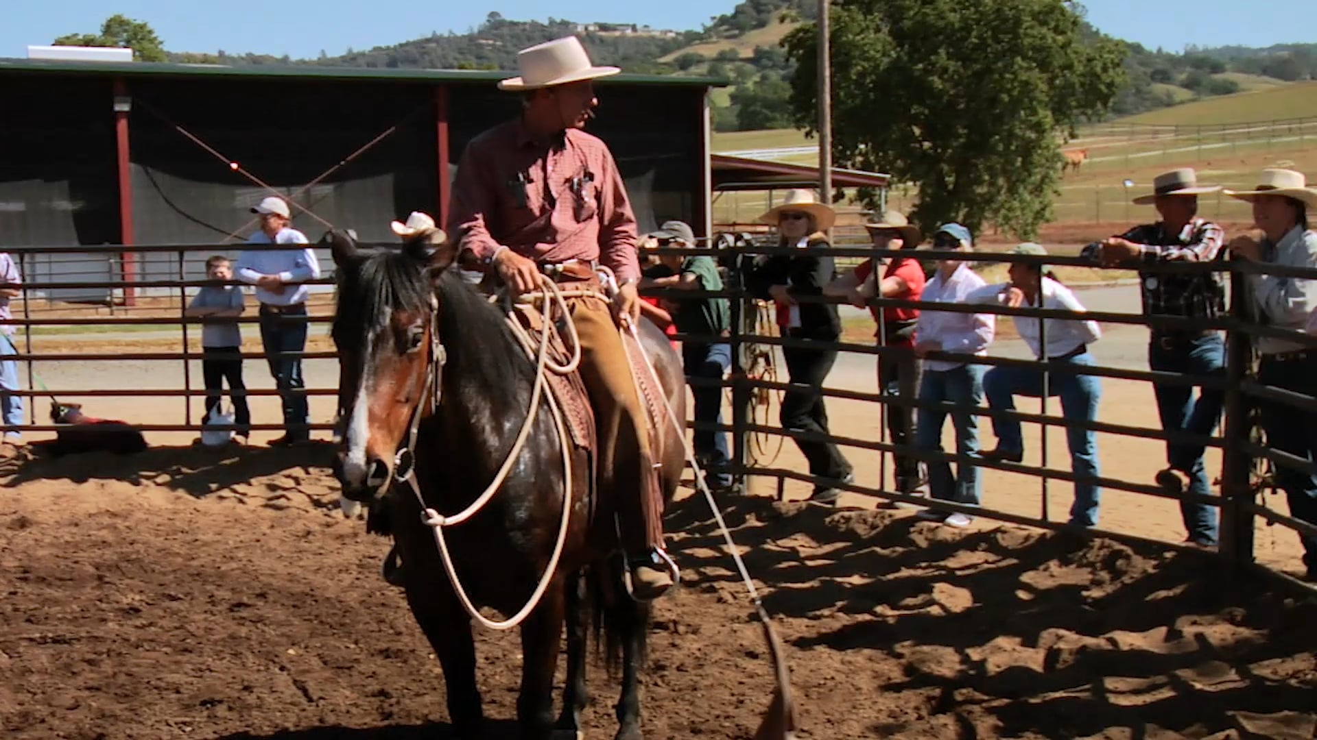 Groundwork 2 – Chapter 18 - Flags - Over Desensitizing