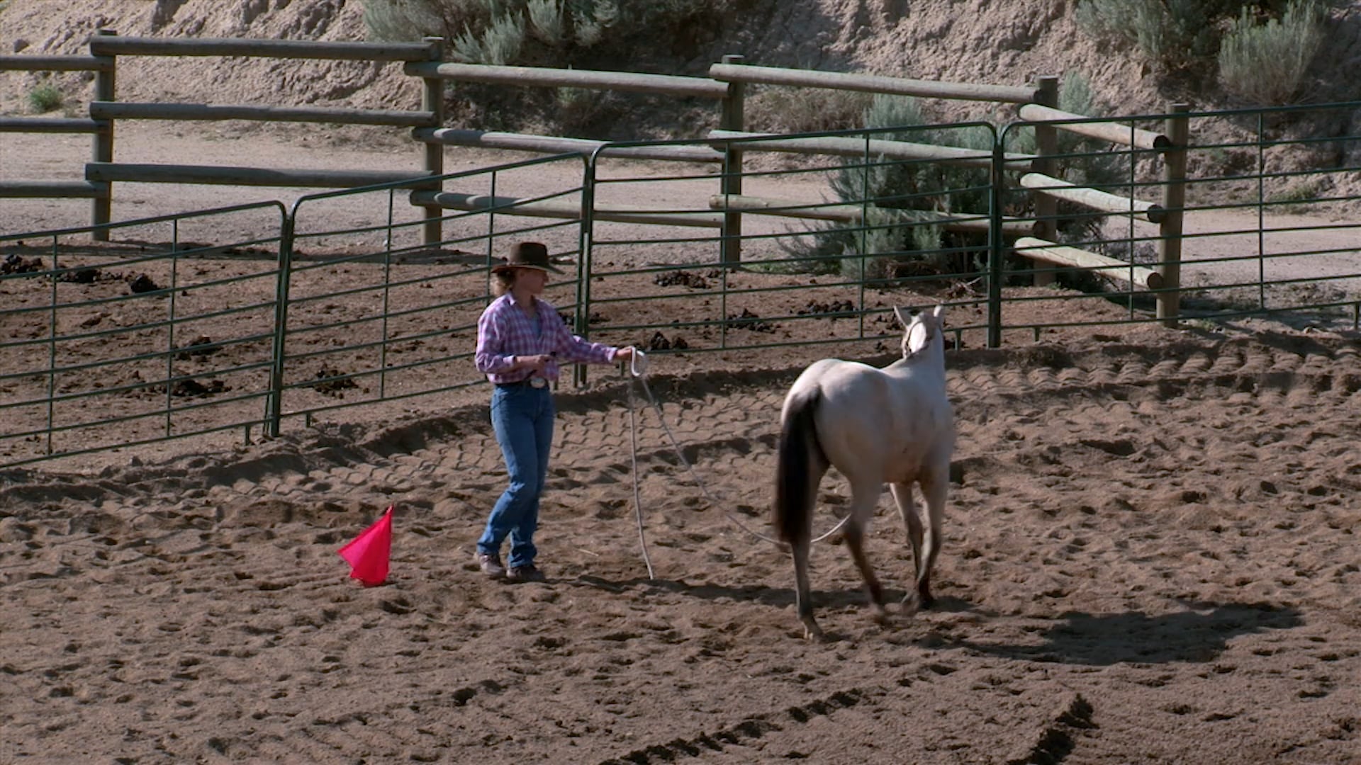 Groundwork 2 – Chapter 25 - Half Circle - Recap