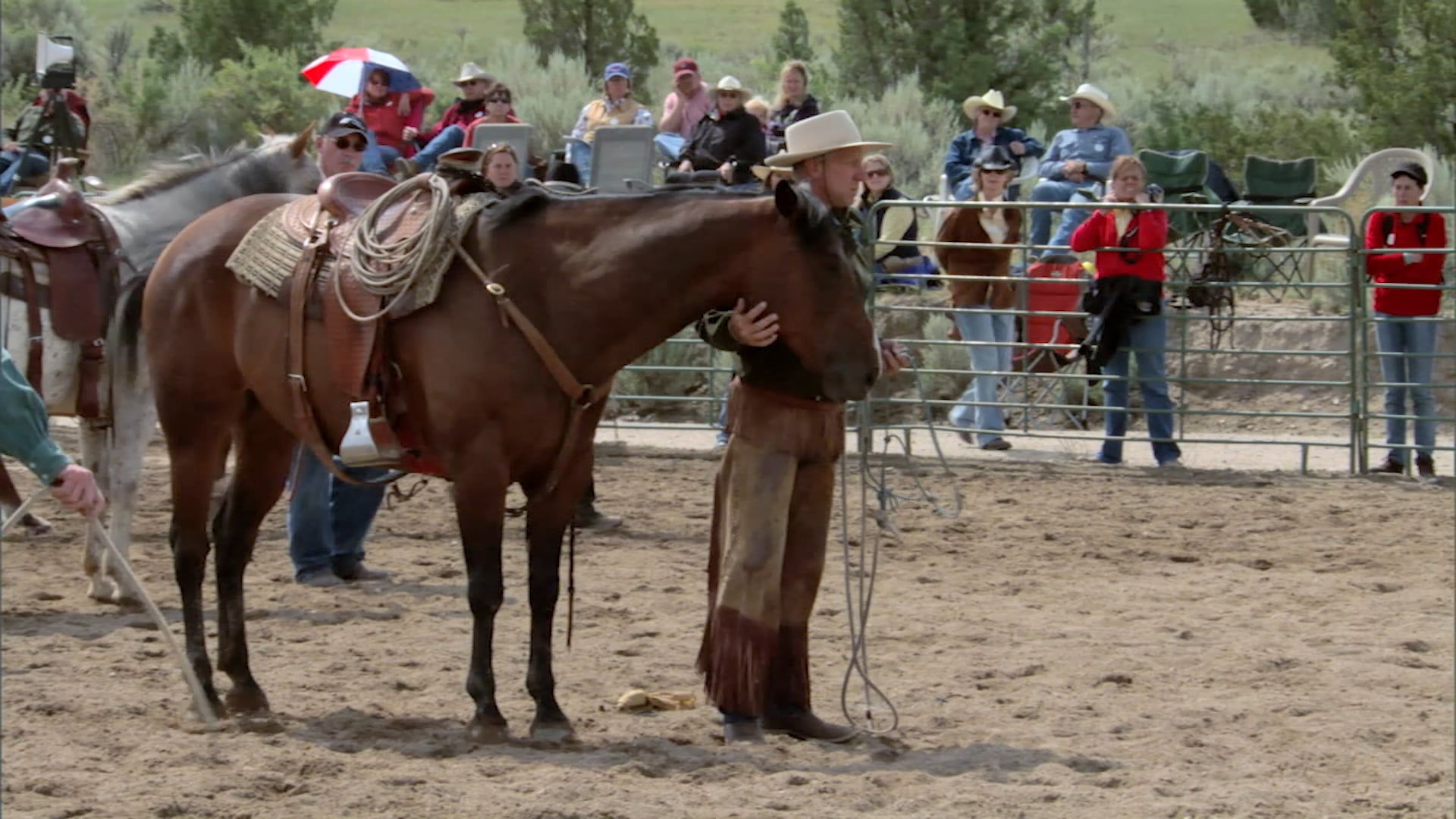 Groundwork 1 - Chapter 13 - Bridling/Haltering Tips - Proper Haltering