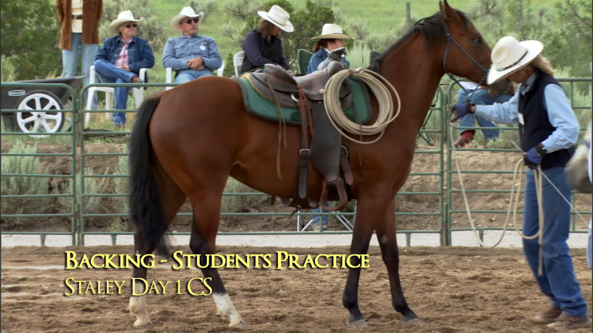 Groundwork 2 - Chapter 2 - Backing/Backing Circles - Staley Students Practice