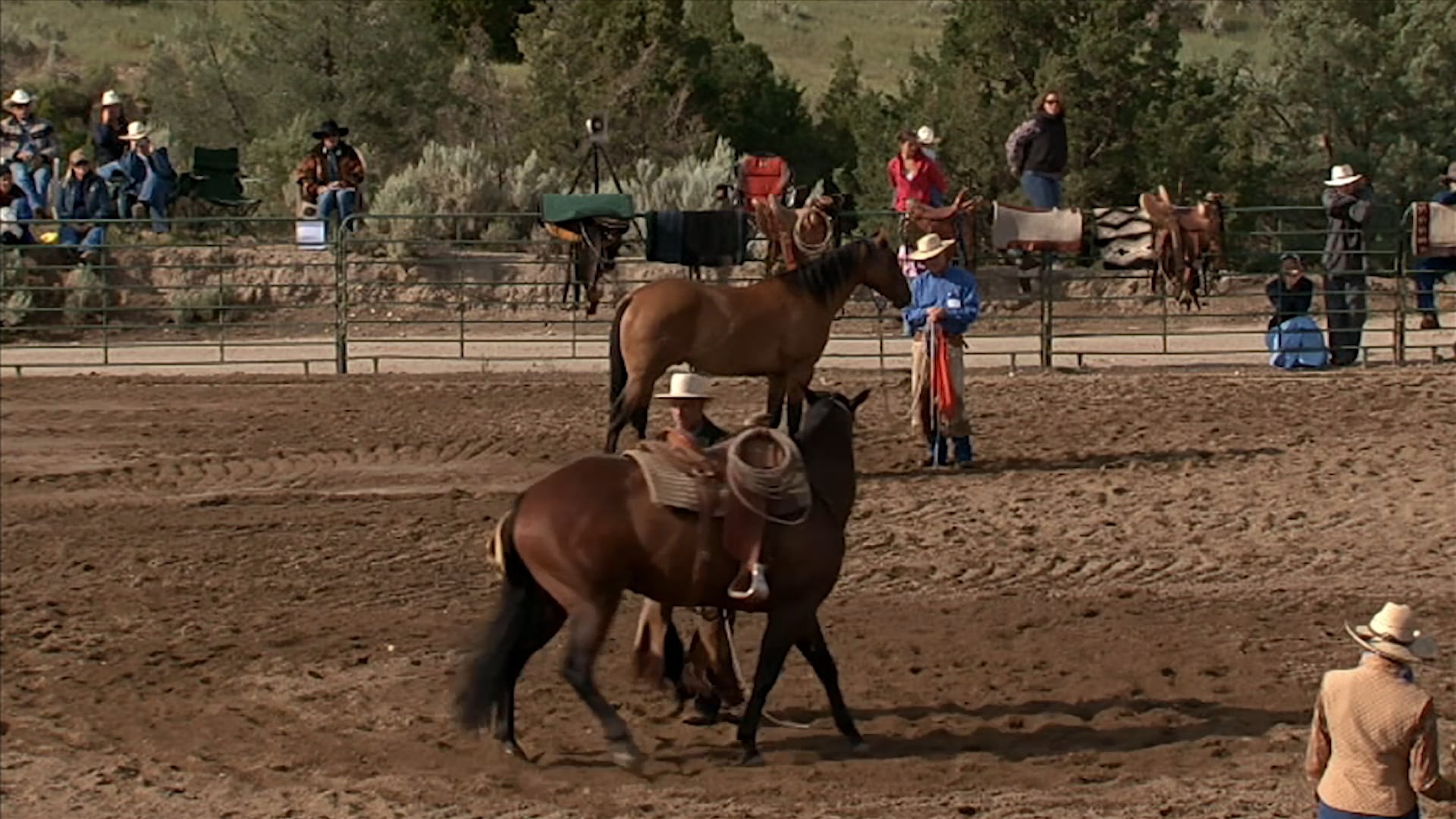 Groundwork 1 - Chapter 7 - Circles/Leading By - Staley Buck Exercise Demo