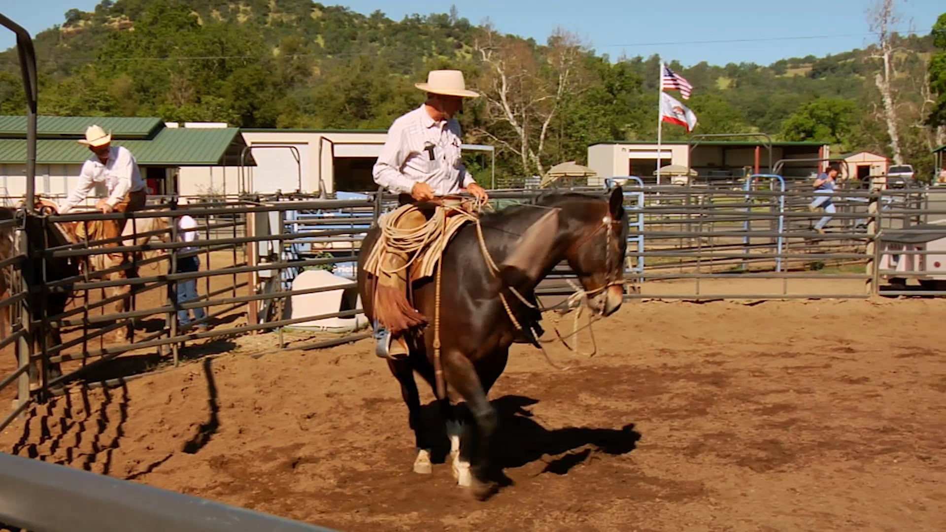 Groundwork 2 – Chapter 20 - Flags - From Ground to Saddle - Hind