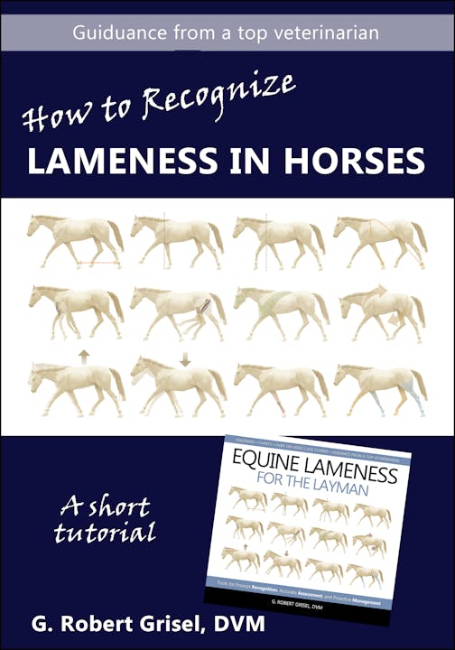 How to Recognize Lameness in Horses Horse and Rider Videos