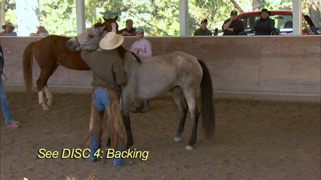 Disc 6 – Chapter 2 - Backing Resistant Horses