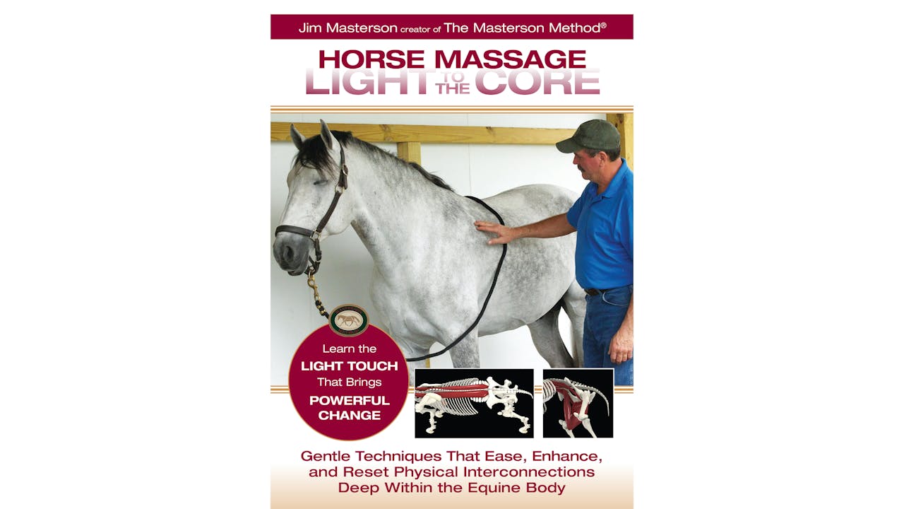 Horse Massage: Light to the Core 
