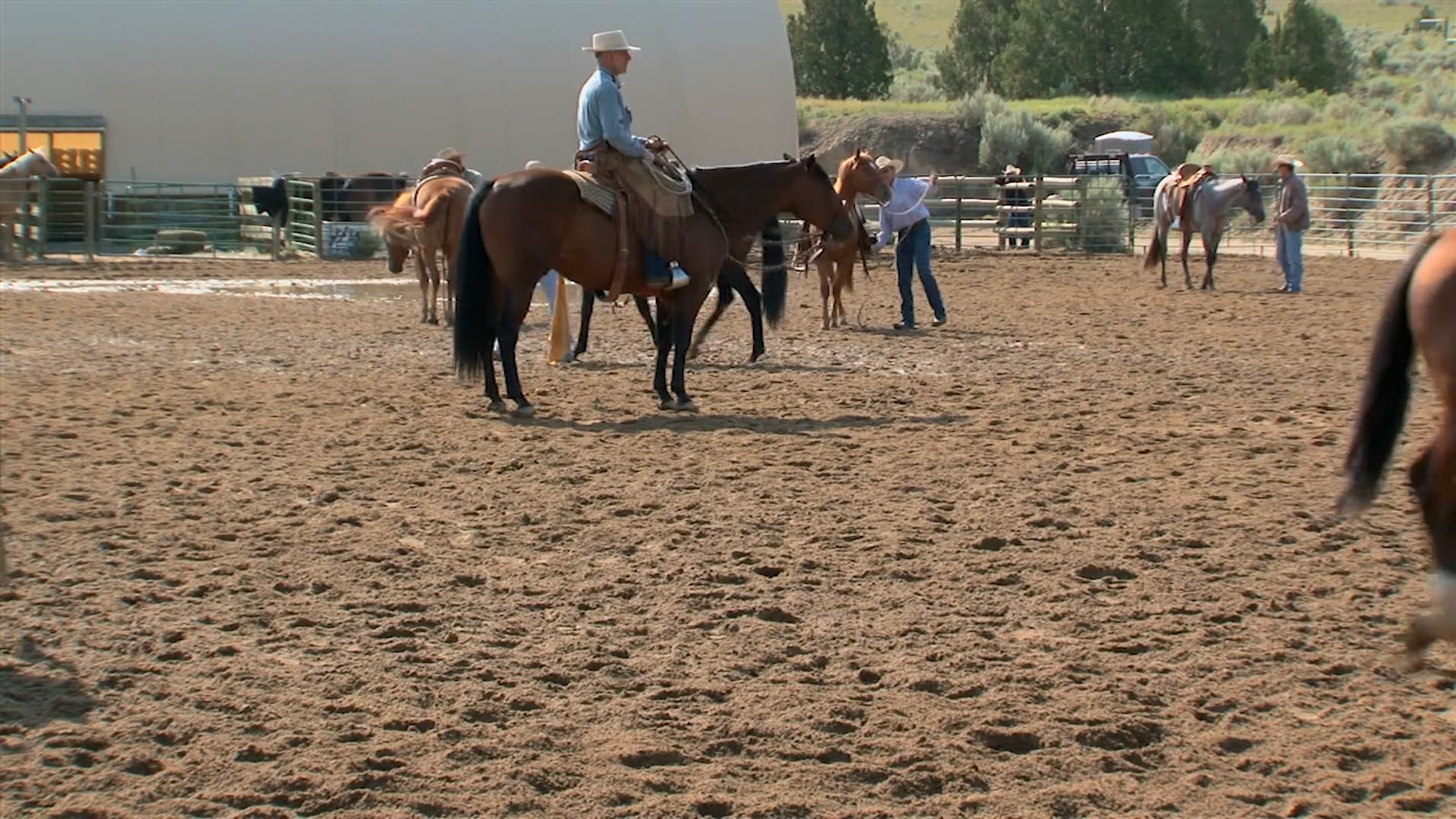Groundwork 2–Chapter 9- Backing/Backing Circles - Staley Buck Backing Techniques