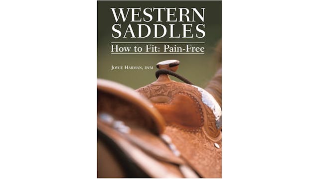 Western Saddles—How to Fit: Pain-Free