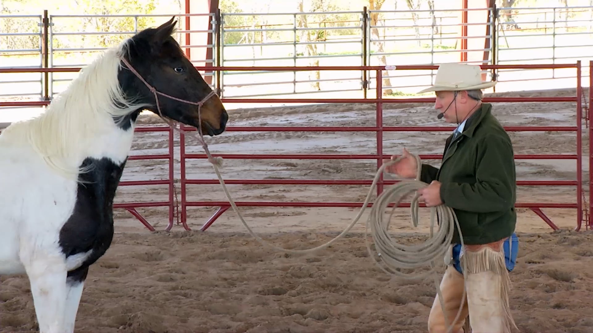 Groundwork 2 – Chapter 10 - Backing/Backing Circles - Backing at a Distance