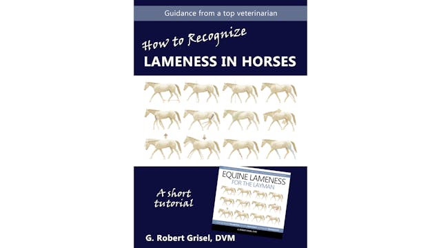 How to Recognize Lameness in Horses