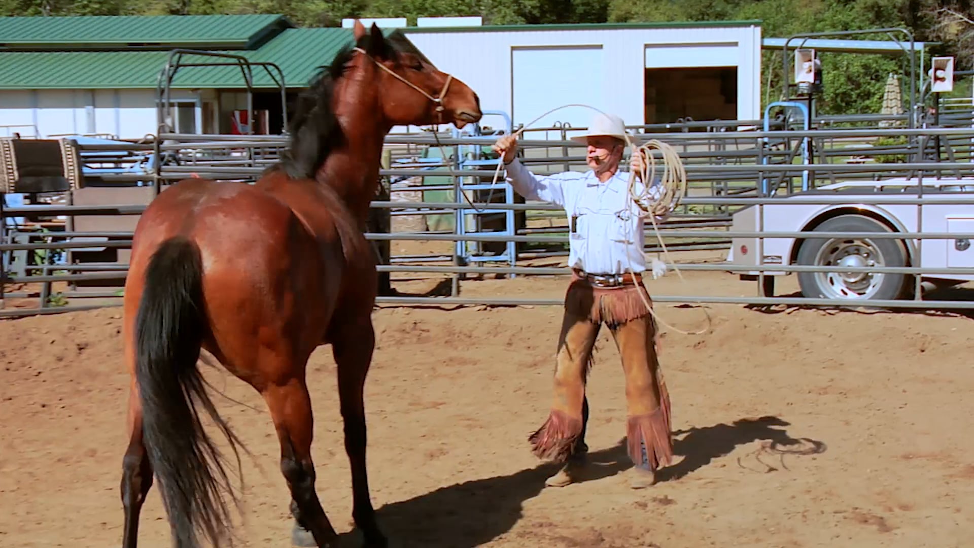 Groundwork 2 – Chapter 11 - Backing/Backing Circles - Betty Staley On backing