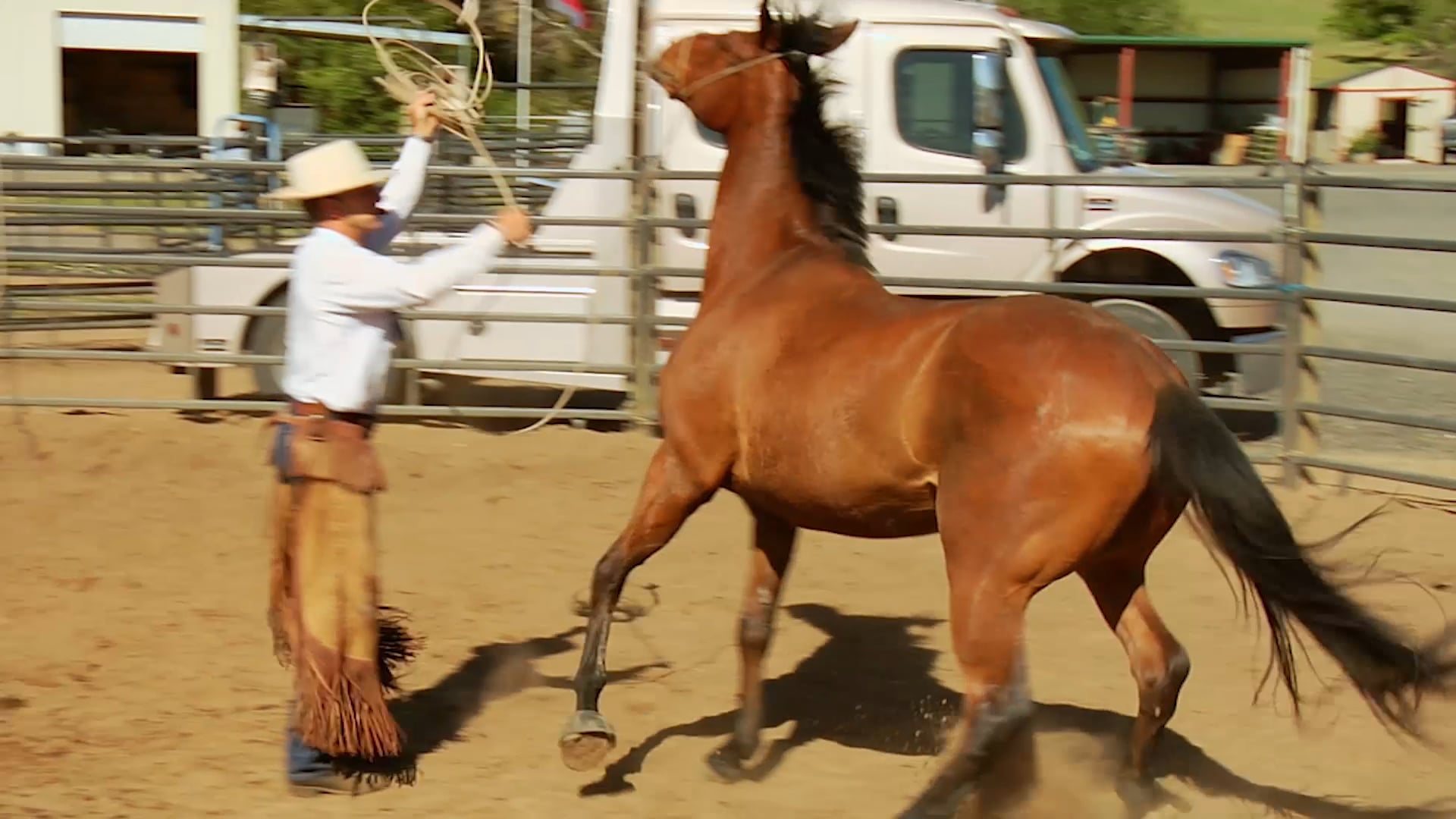 Groundwork 2 – Chapter 13 - Backing/Backing Circles - Buck on Firming Up