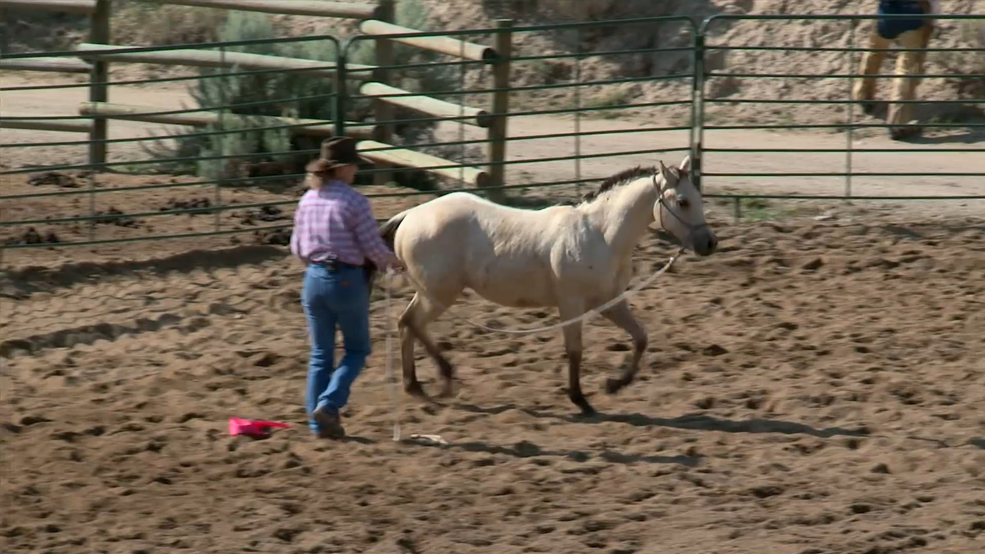 Groundwork 2 – Chapter 15 - Flags - Flagging with Feel