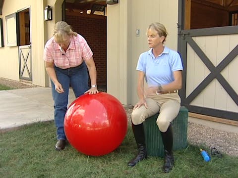 Ride Like a Natural 3: Get on the Equiball