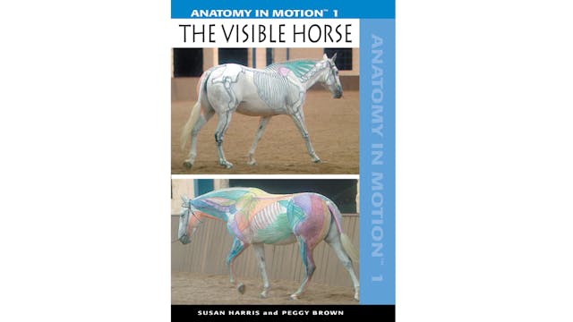 Anatomy In Motion 1: The Visible Horse