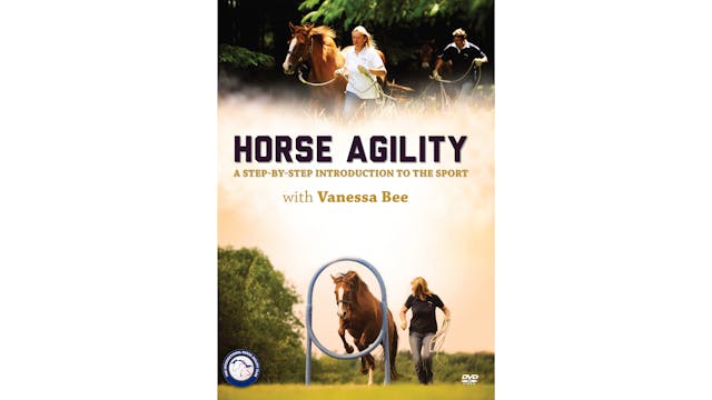Horse Agility