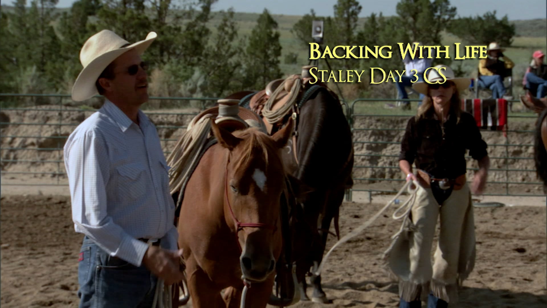 Groundwork 2 - Chapter 4 - Backing/Backing Circles - Backing with Life