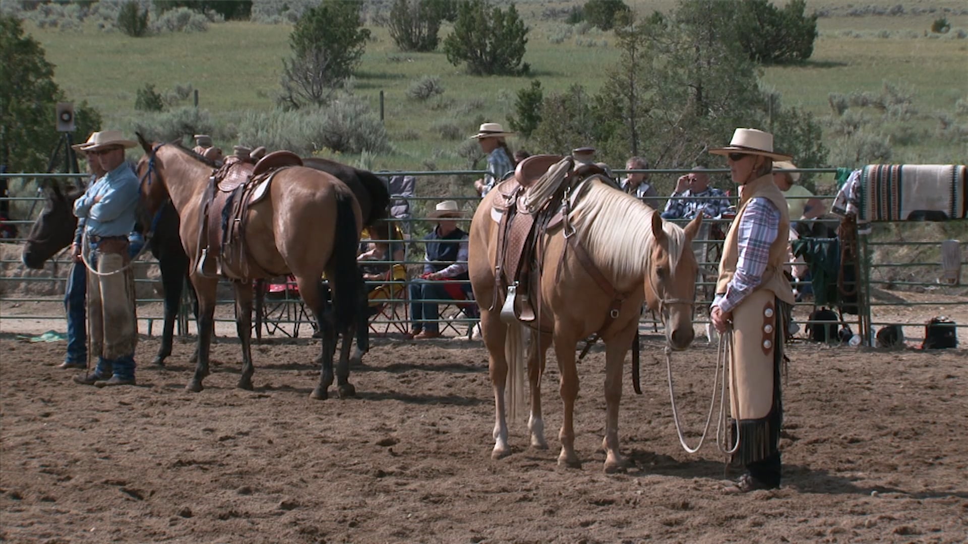 Groundwork 2 – Chapter 24 - Half Circle - Follow Up