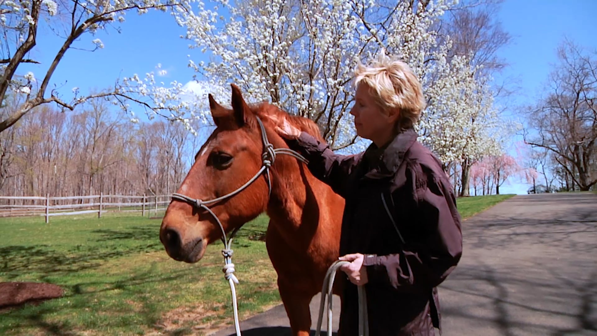 Groundwork 1 - Chapter 1 - Introduction by Cindy Meehl