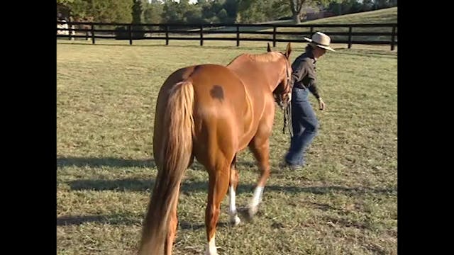 Ride Like a Natural 2: Time it Right on Your Horse