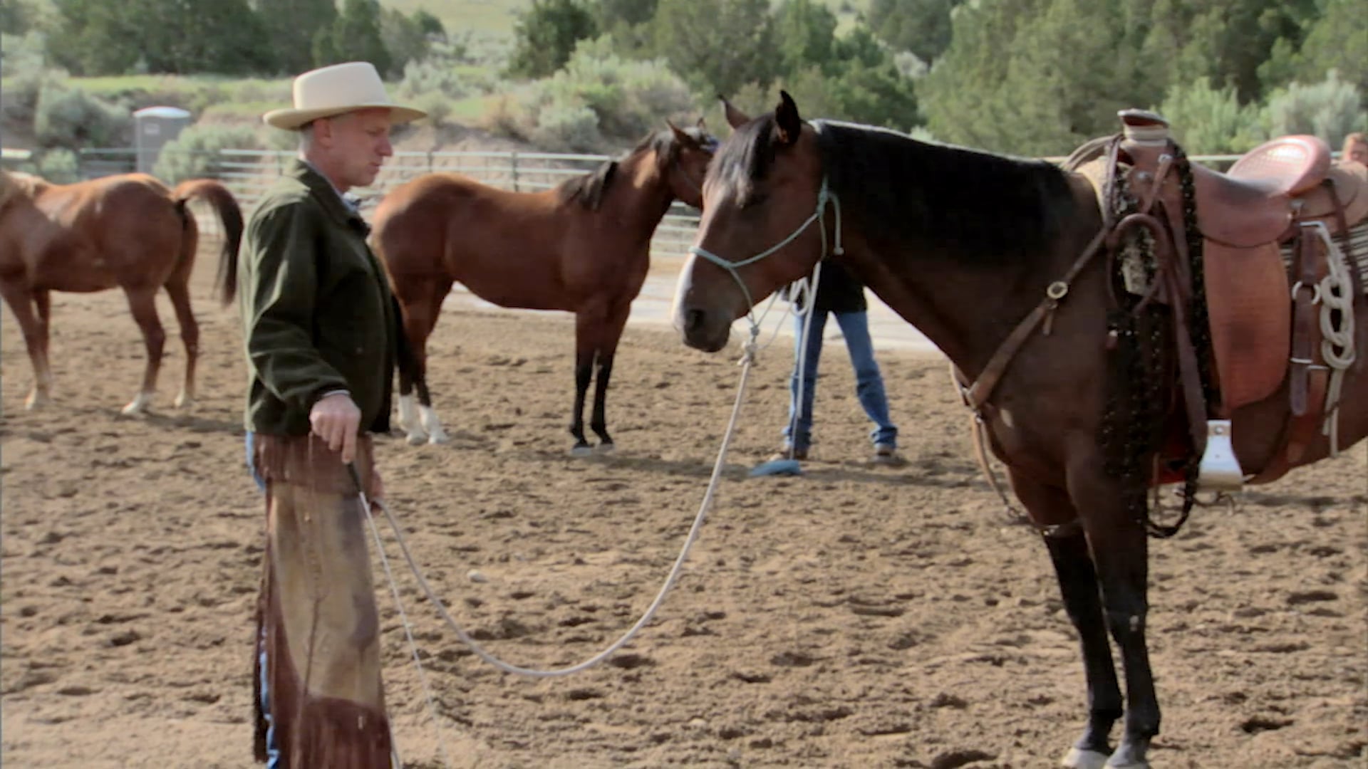 Groundwork 2 – Chapter 19 - Flags - The Whole Horse