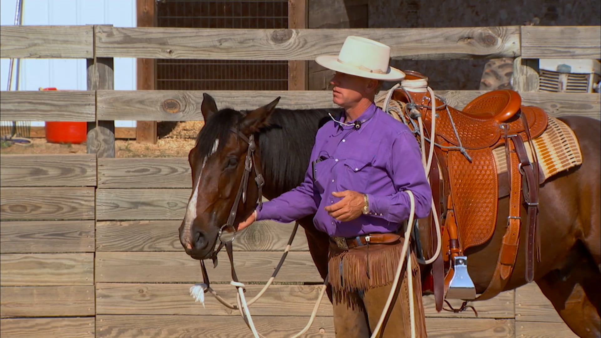 Groundwork 1 - Chapter 17 - Bridling/Haltering Tips - Wrinkles