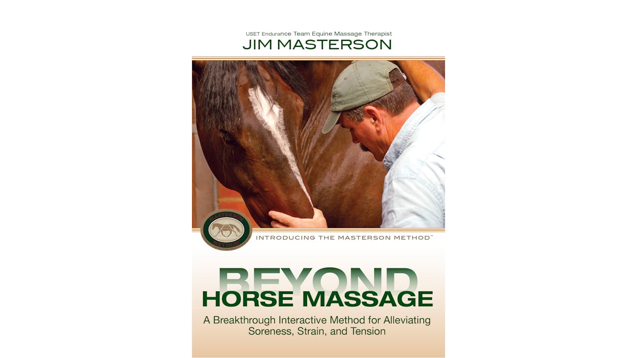 Beyond Horse Massage—Introducing Masterson Method