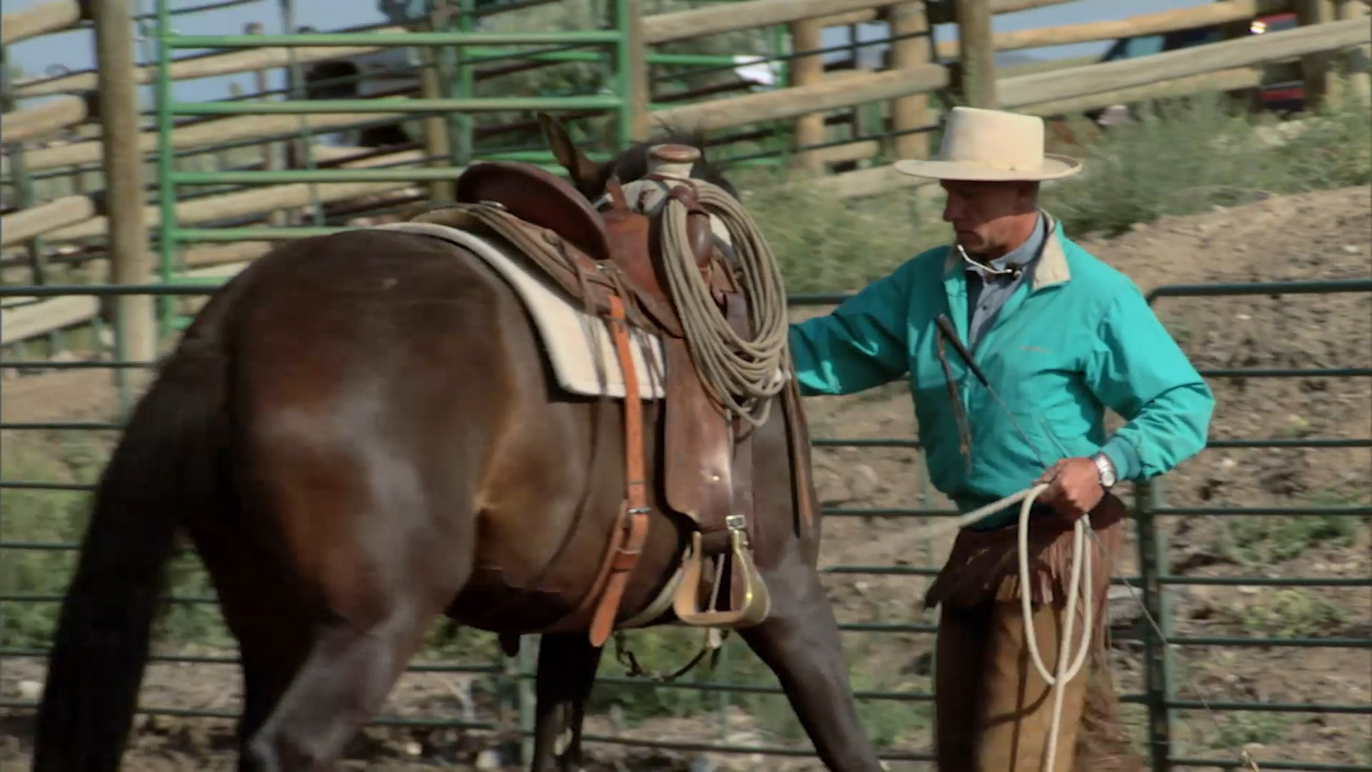 Groundwork 2 – Chapter 12 - Backing/Backing Circles - Backing Betty's Horse