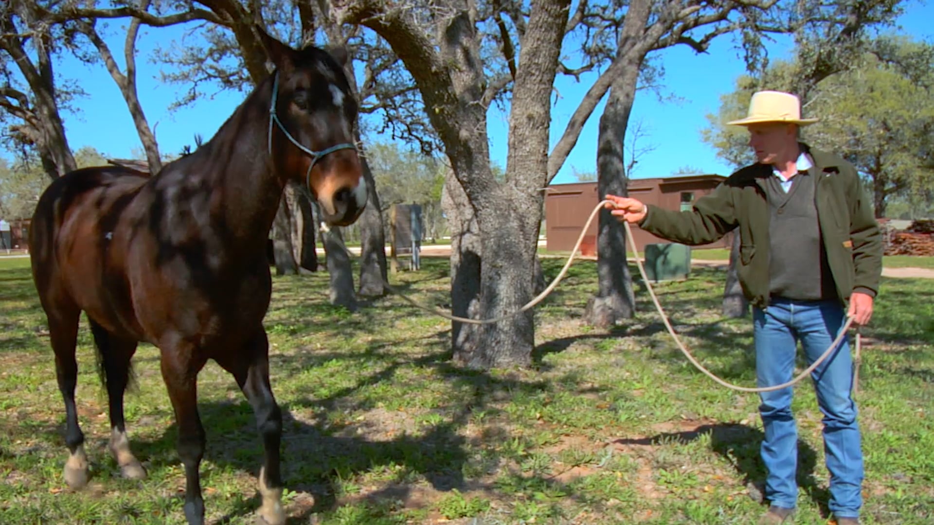 Groundwork 1 - Chapter 3 - Hooking On - The Dance