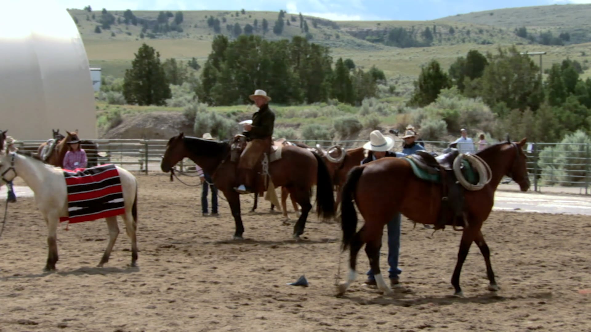 Groundwork 2- Chapter 3 - Backing/Backing Circles - Staley Questions and Answers