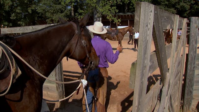 Lessons 3 – Chapter 11 - The Feel - T...