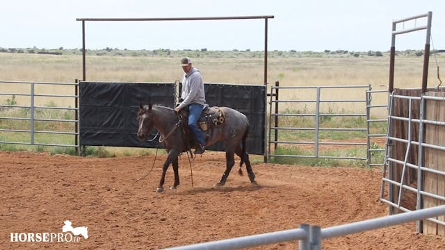 Working a Stiff Snaffle Bit Prospect ...