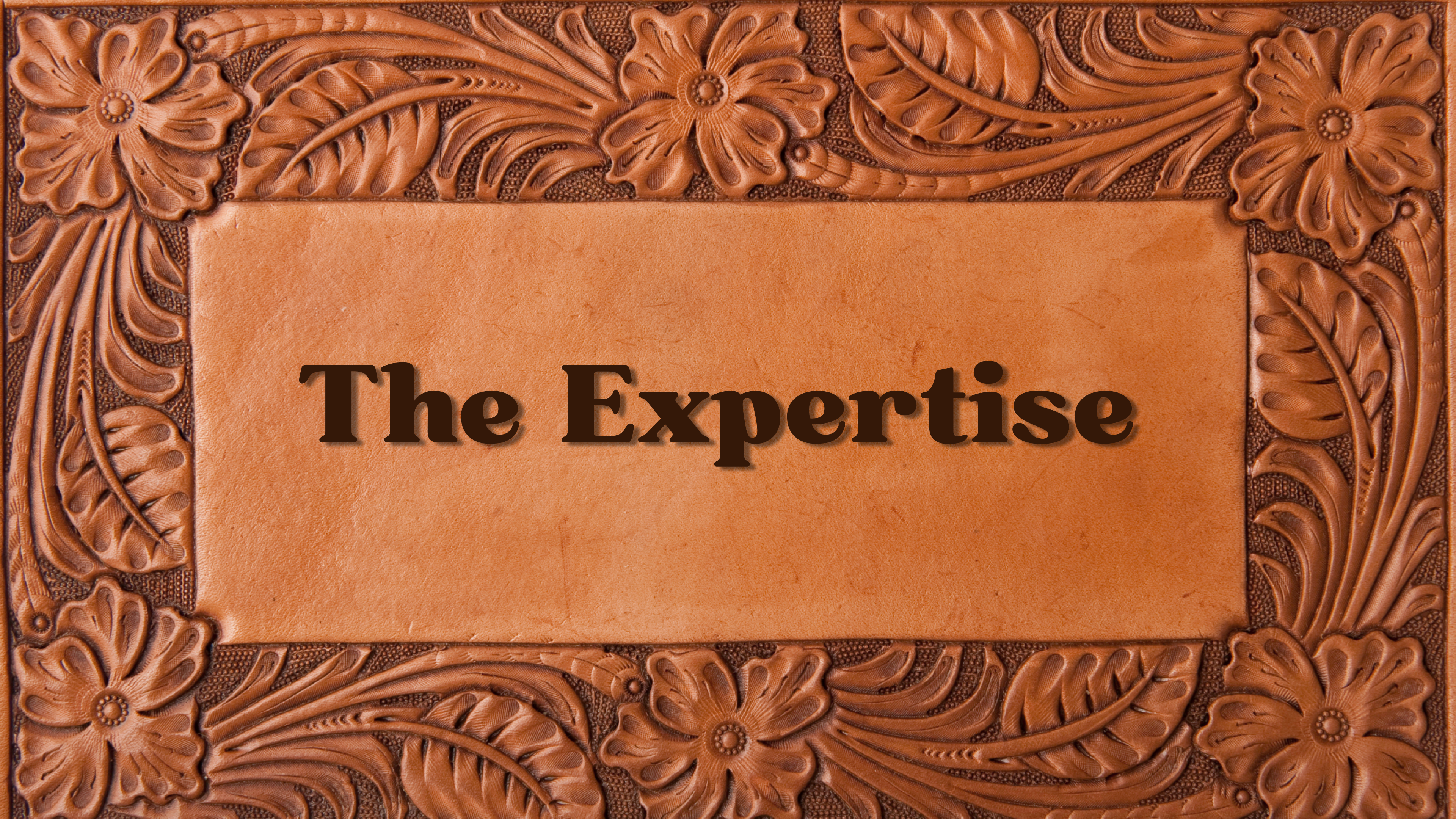 The Expertise: Conversations that Inspire