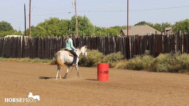 Advancing a Futurity Colt that Needs ...