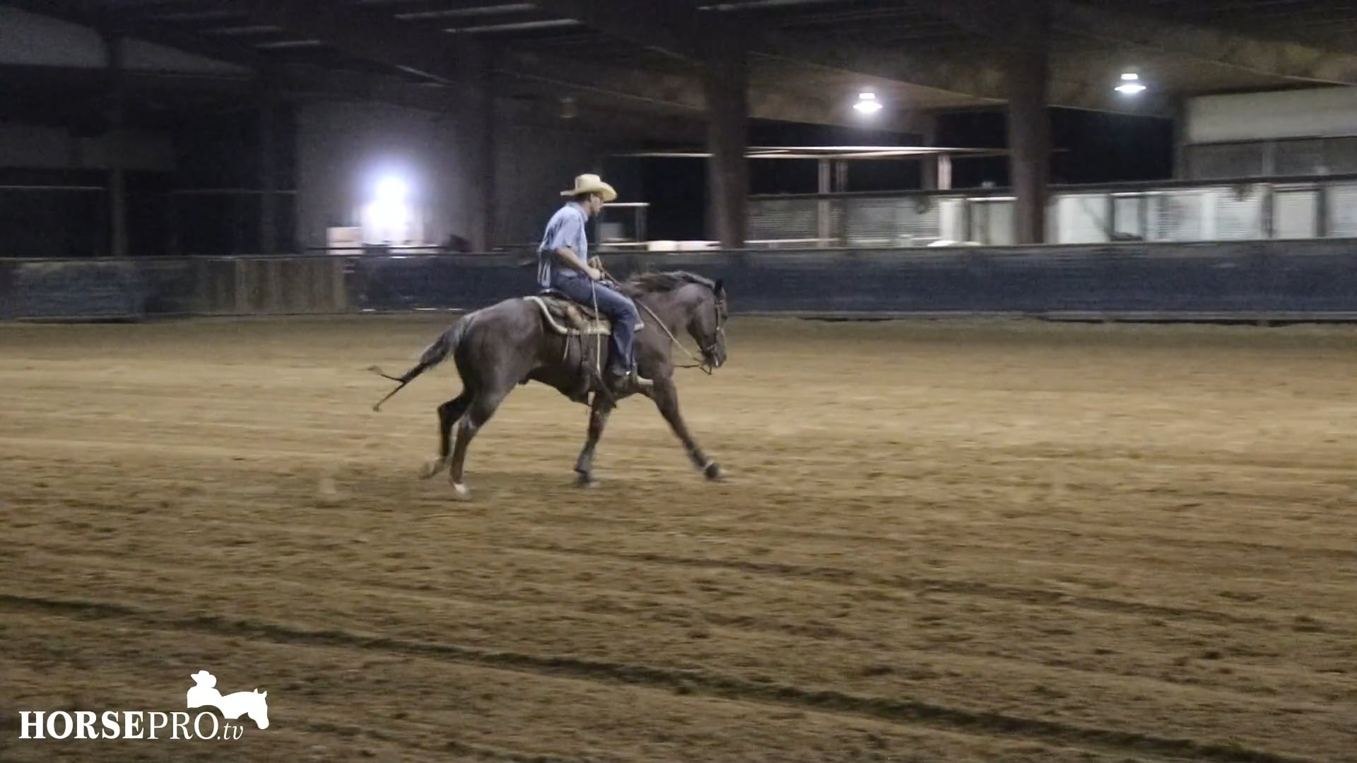 Episode 20: Lead Changes on a Horse Starting in the Bridle