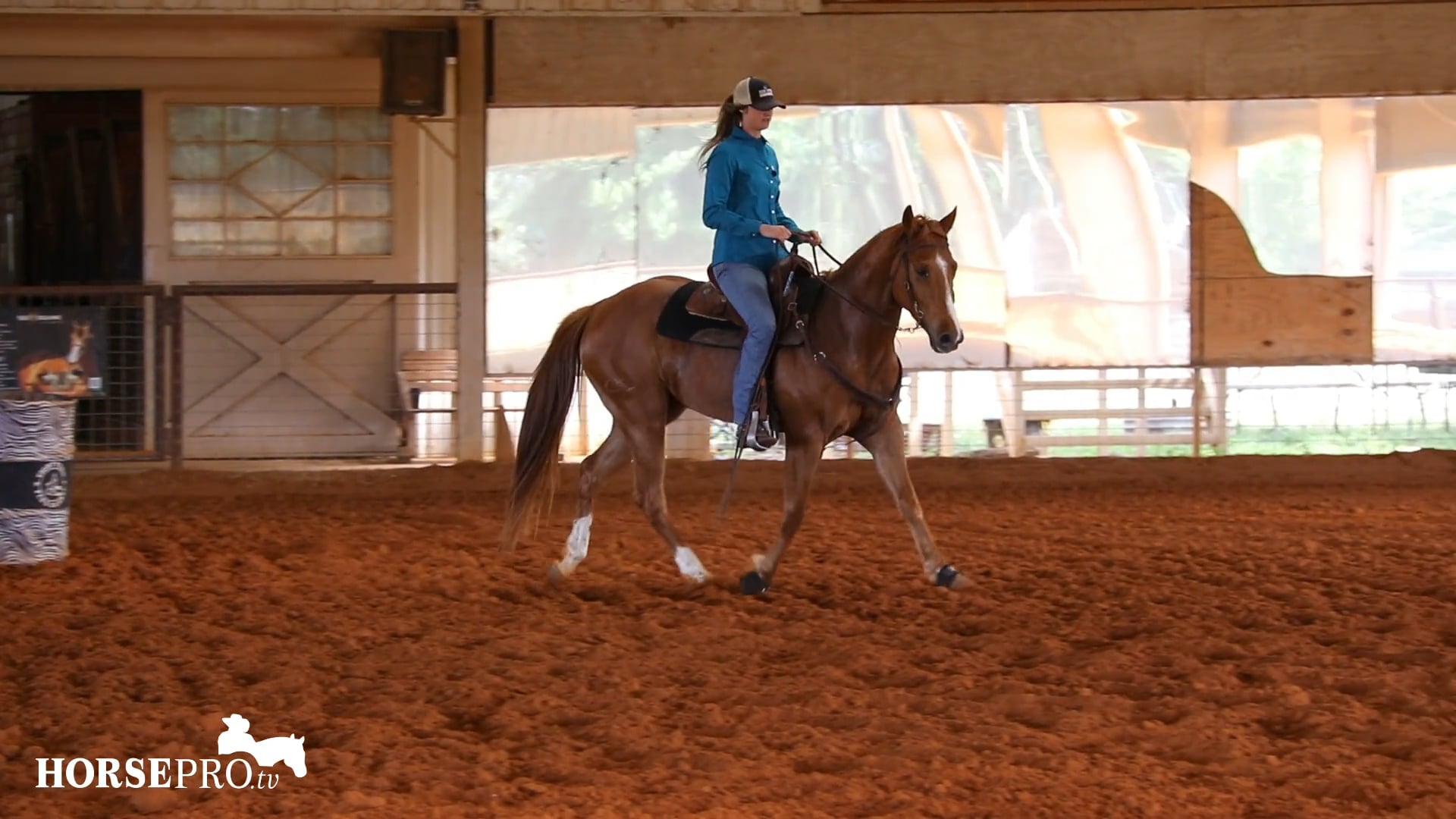 Second Time on the Pattern with a New Horse