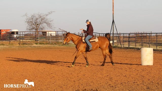 Working a Green Horse on the Pattern